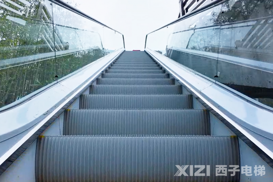 1763003305215684sOIX.png 4.png